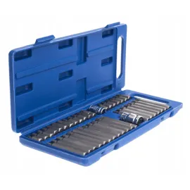 Nycklar TORX SPLINE IMBUS 40 delar, CrV, Tagred