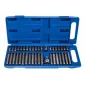 Nycklar TORX SPLINE HEX 40 delar, CrV, Tagred