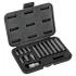 Bit set 15 Pieces, 10 mm, RIBE M6-M14, Length 3075 mm, Proline