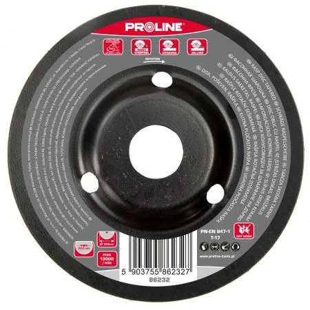 Sanding Disc 125 mm, Proline