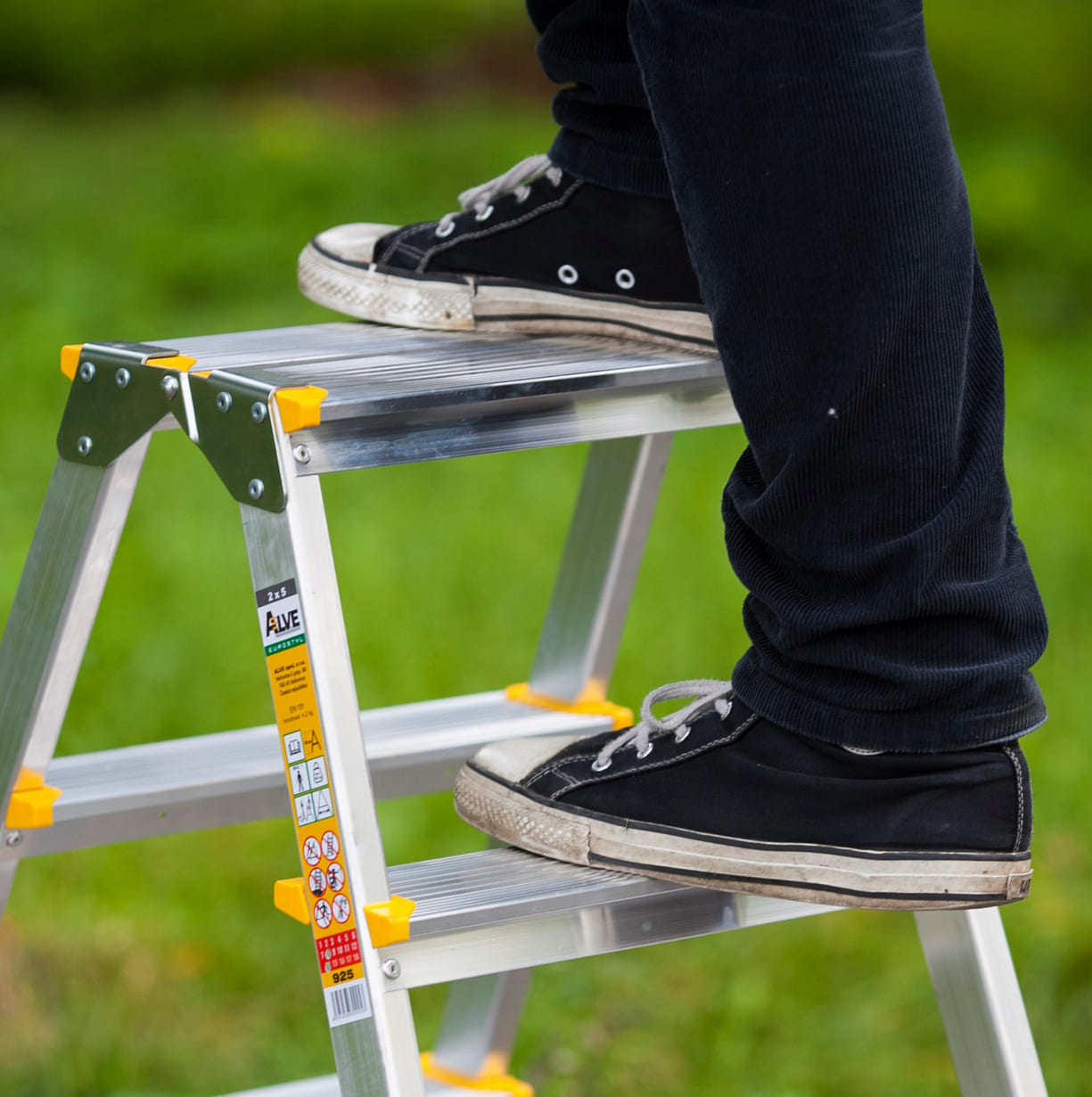 Professional Double-Sided Step Ladder 2x2 Steps Aluminium 150 kg, Alve