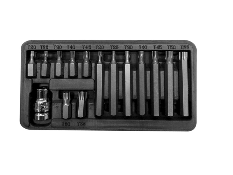 Bit set 15 Pieces, 10 mm, TORX Security T20-T55, l=3075 mm, Proline