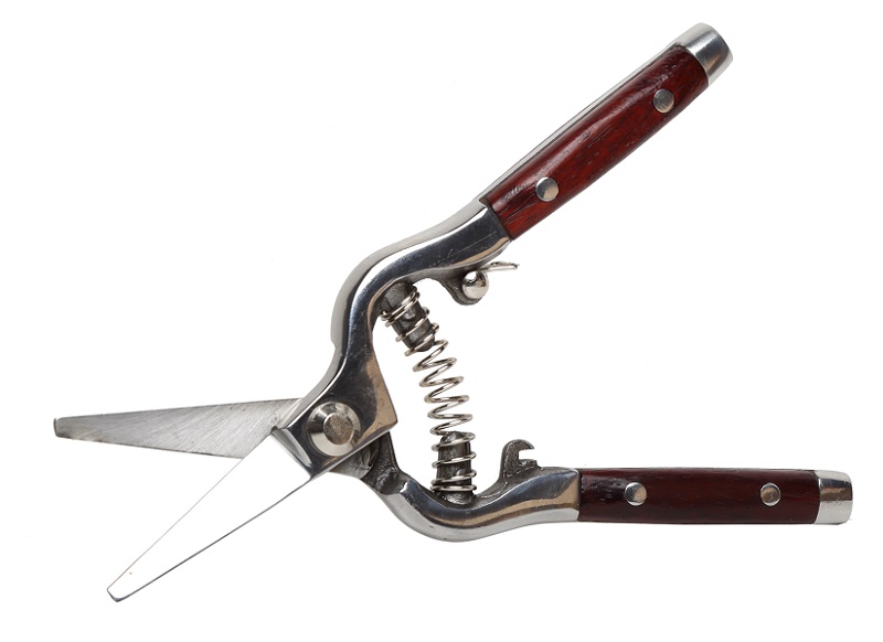 Garden Pruner for Roses, Forged Metal, Fine Wood Handle, Premium, Proline