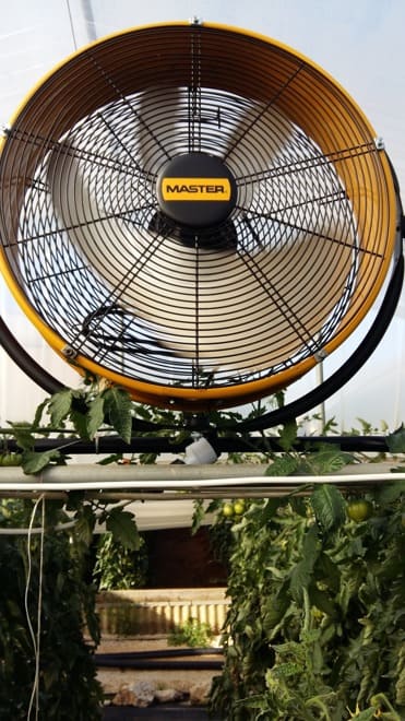 Industrifläkt 50 cm, 6600 m³/h, 107W, IP44, 360° Rotation, Gul, Master