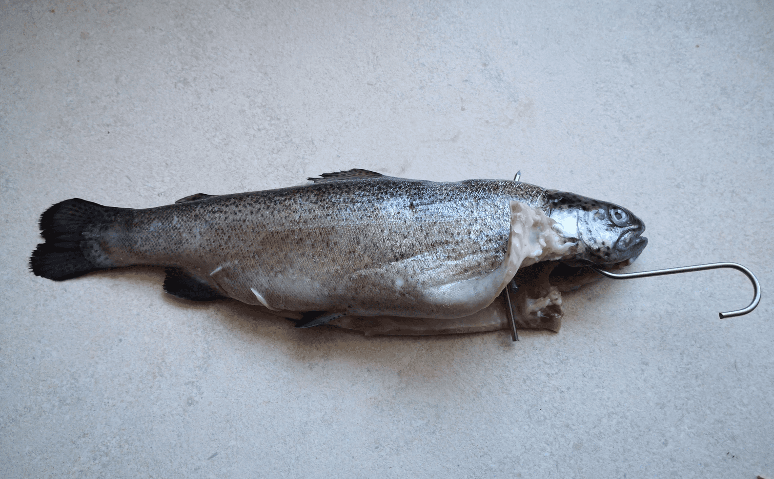 Rökkrokar för fisk, 10st specialutformade krokar i rostfritt stål