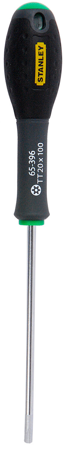 Fm Sd TORX Tt20 x 100 mm