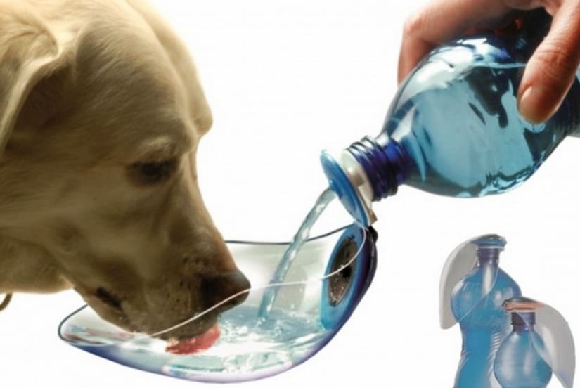 Compact water bowl for dogs