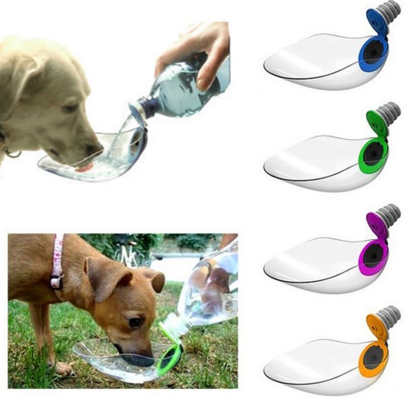 Compact water bowl for dogs