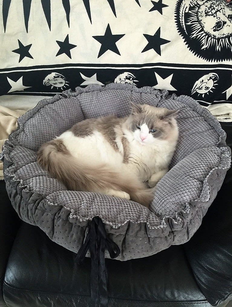 Dog & Cat Bed Cushion DAISY