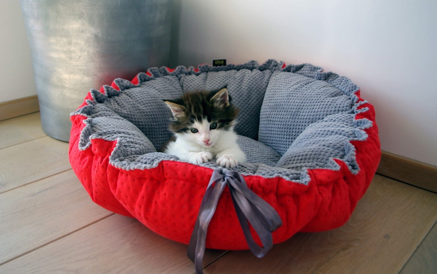Dog & Cat Bed Cushion DAISY