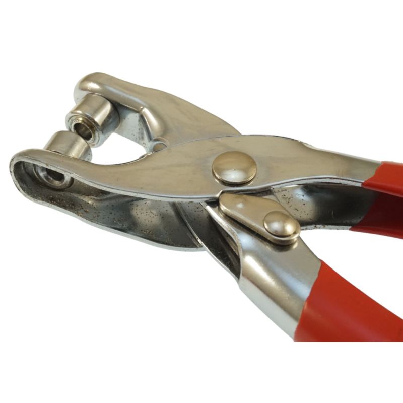Leather Worker’s set, 6 Punch Sizes 2-5 mm, Beast