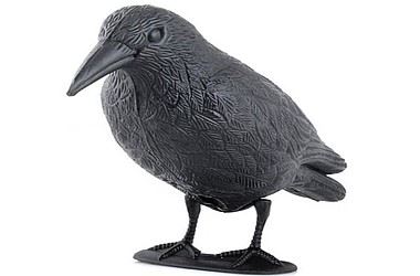 Pigeon Repeller, Durable Black Plastic, 37 cm, Beast